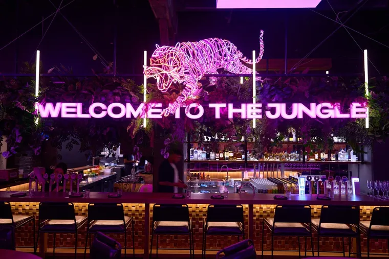 Jungle light boxes